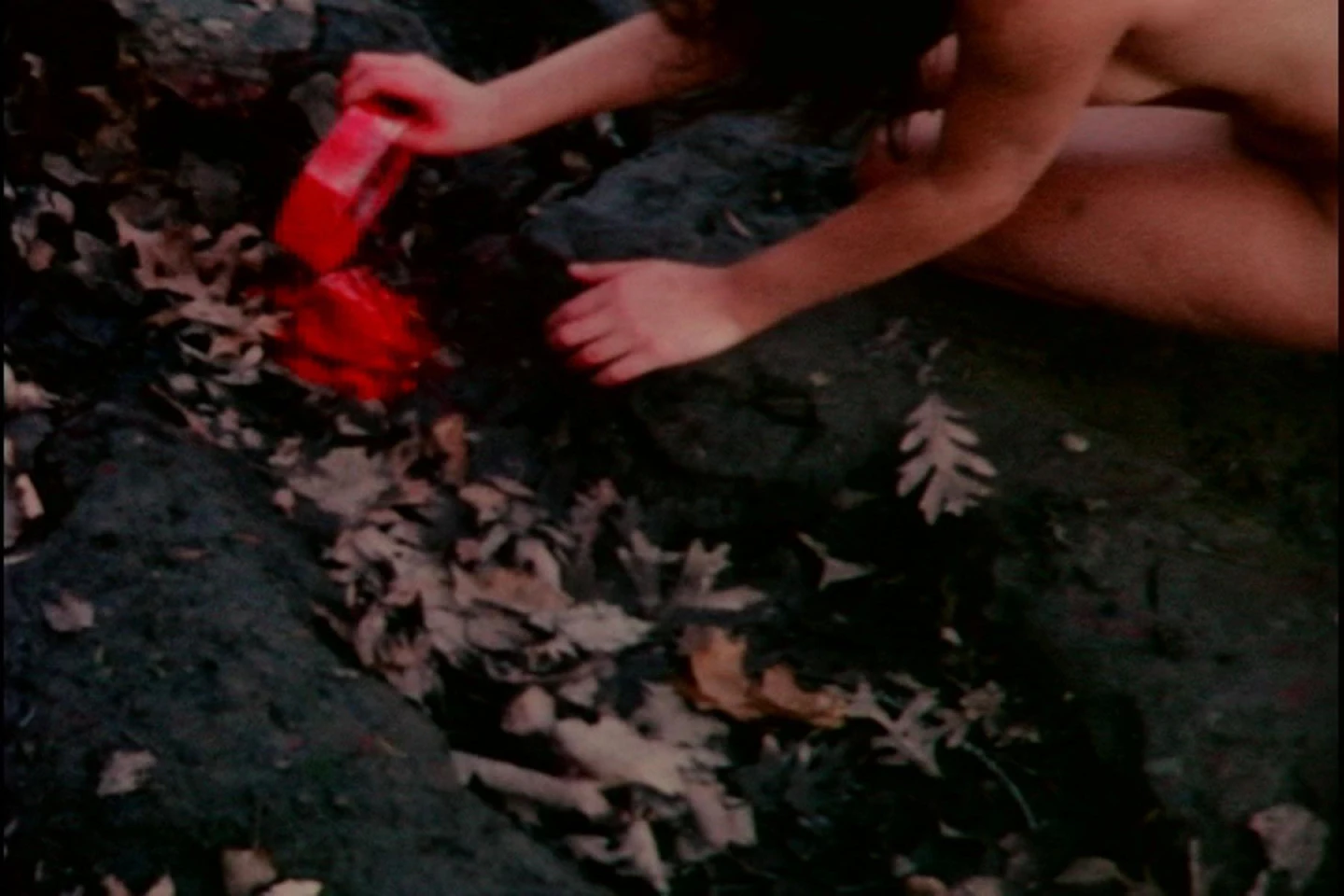 AD04472 corazon de roca 03