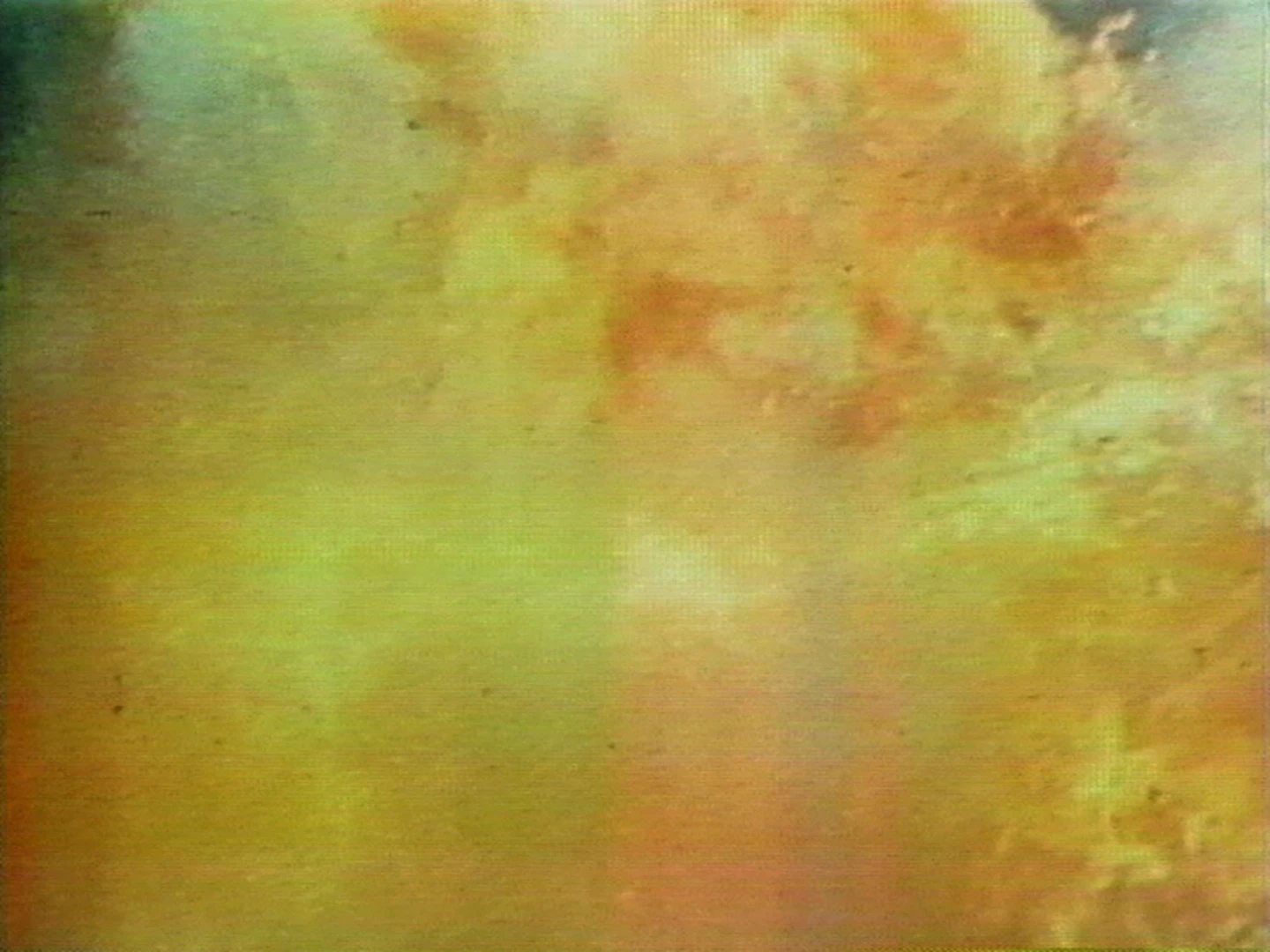 AD04482 birnbaum_wonder4