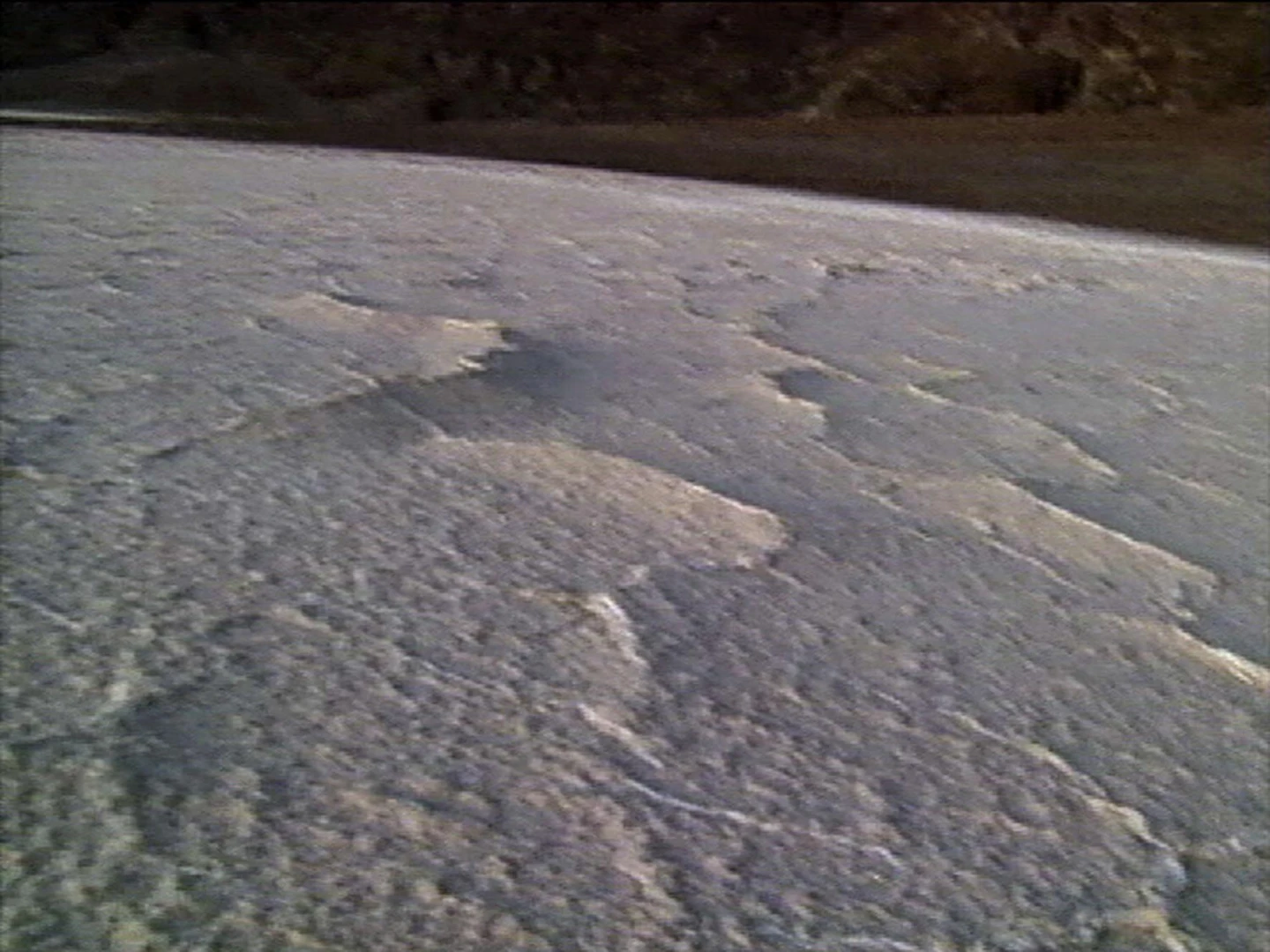 AD04488 viola.deserts2