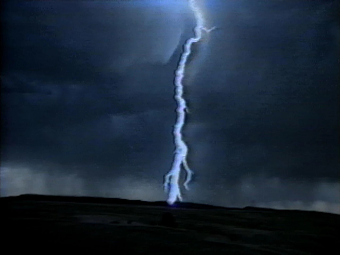 AD04488 viola.deserts3