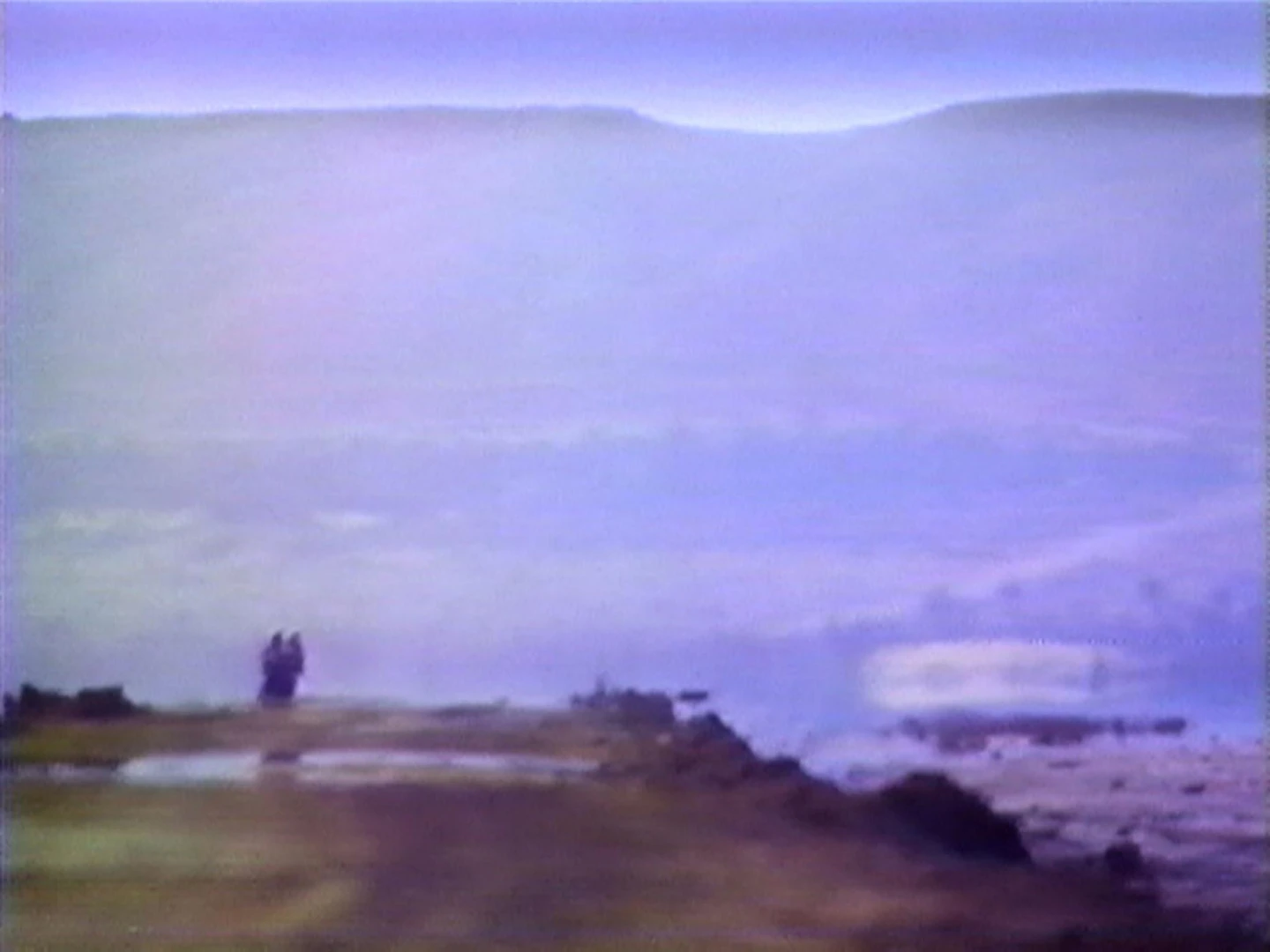 AD04489 viola.chott3