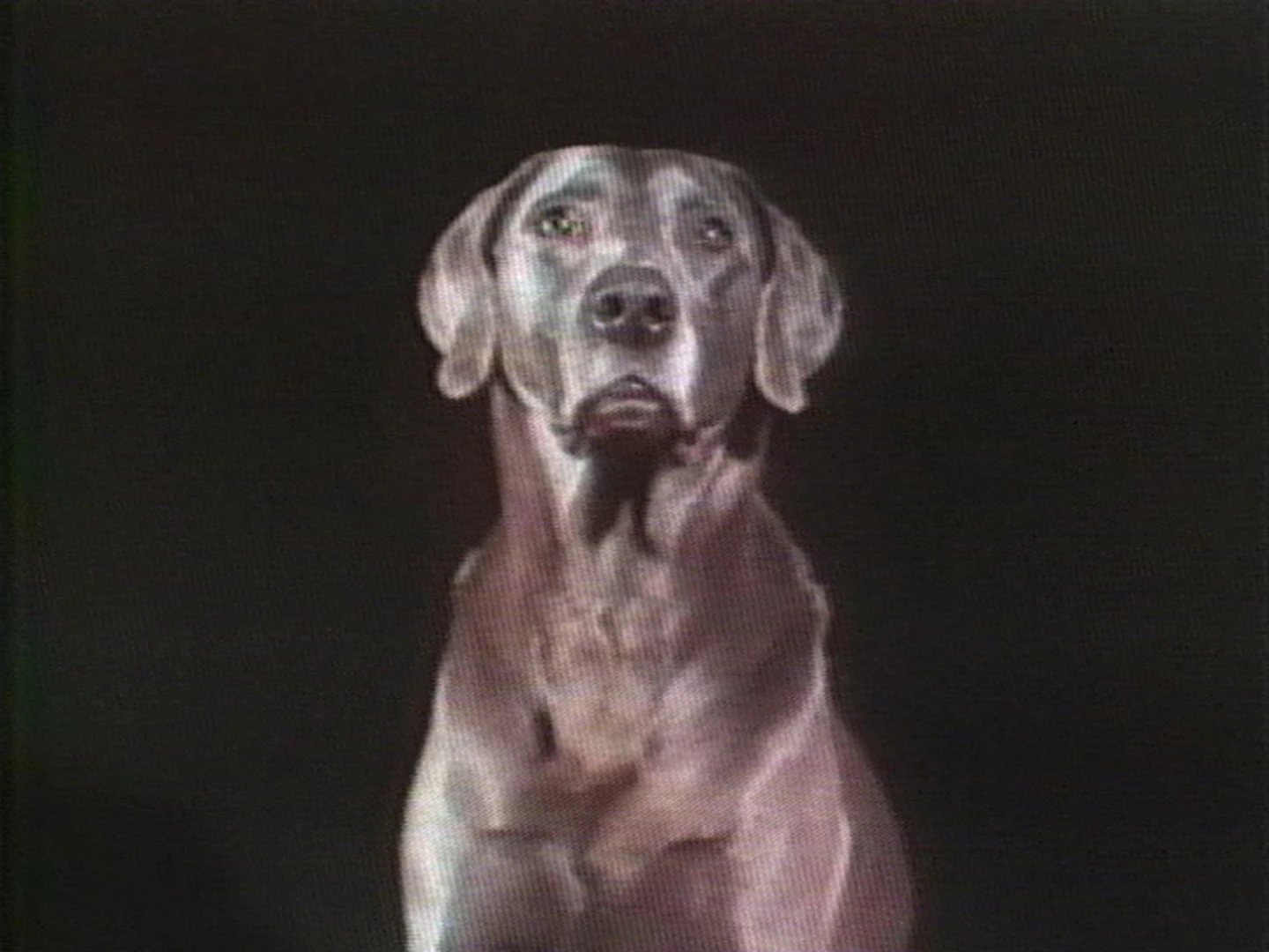 AD04490-wegman_manray4