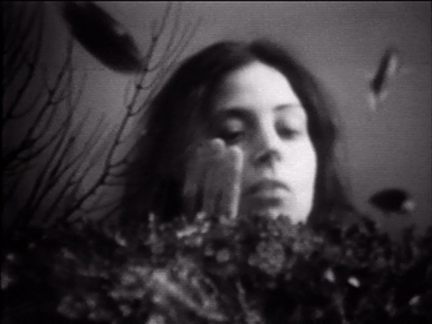 AD04491 wilke_hello2