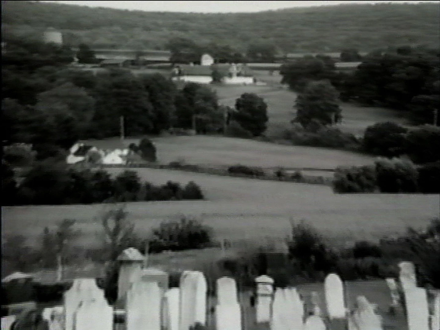 AD04665gorewitz_dissonant1