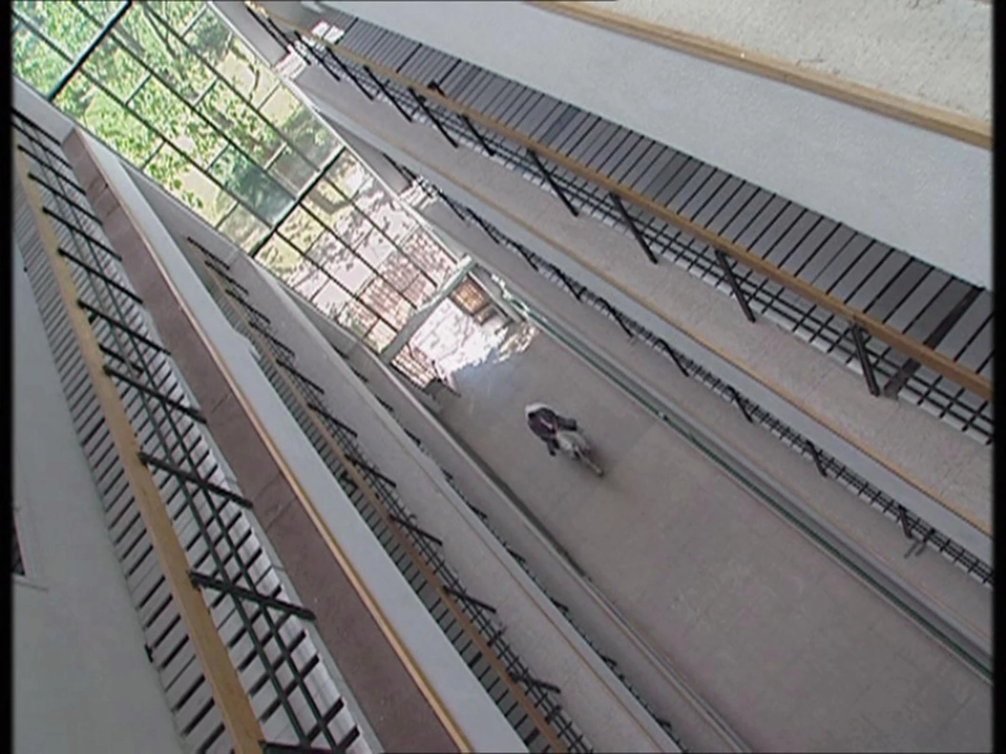 AD04810-Sanchez Castillo-Caballo2