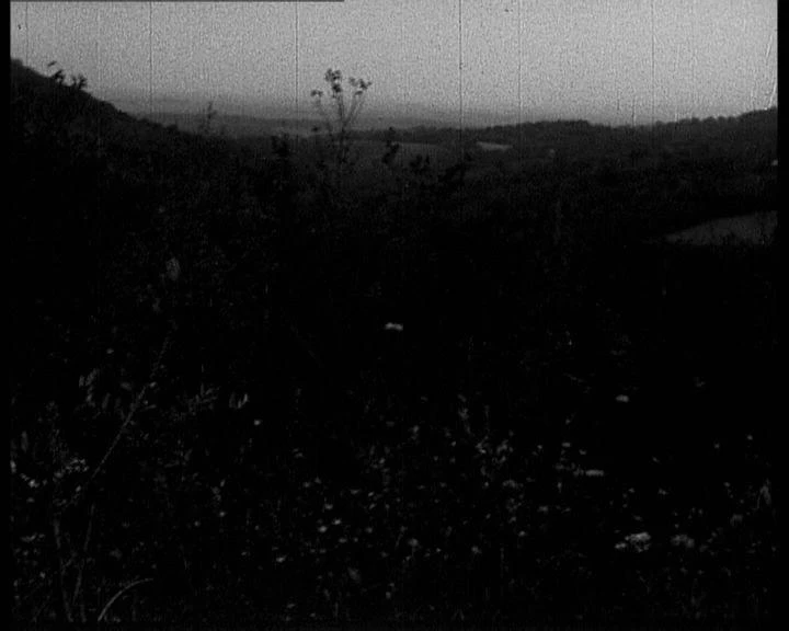 AD05337_002