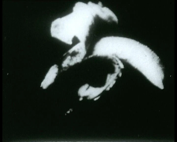 AD05352_001