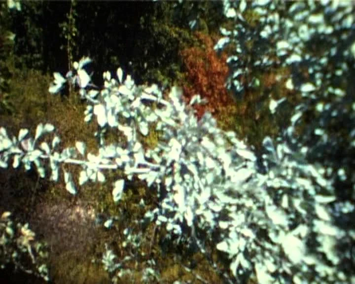 AD05395-001