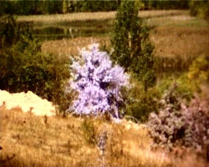 AD05395-001_004