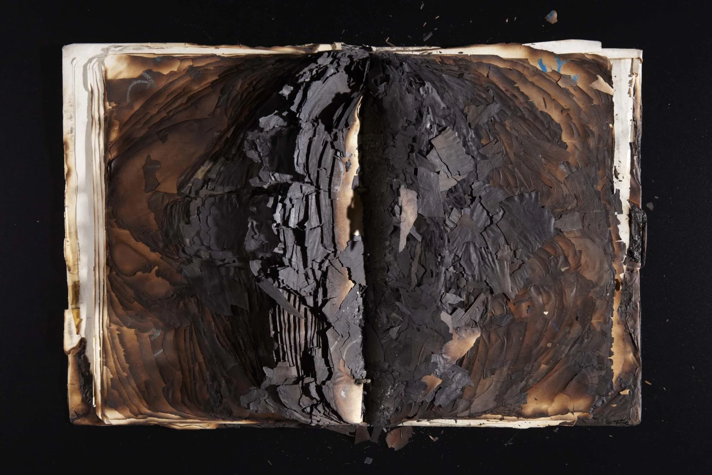 AD06536-001