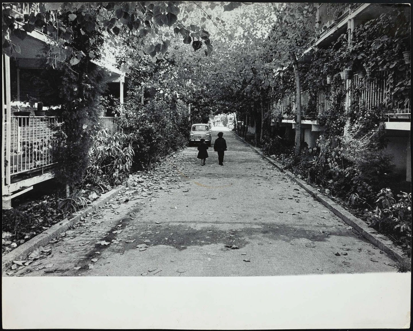 AD08371