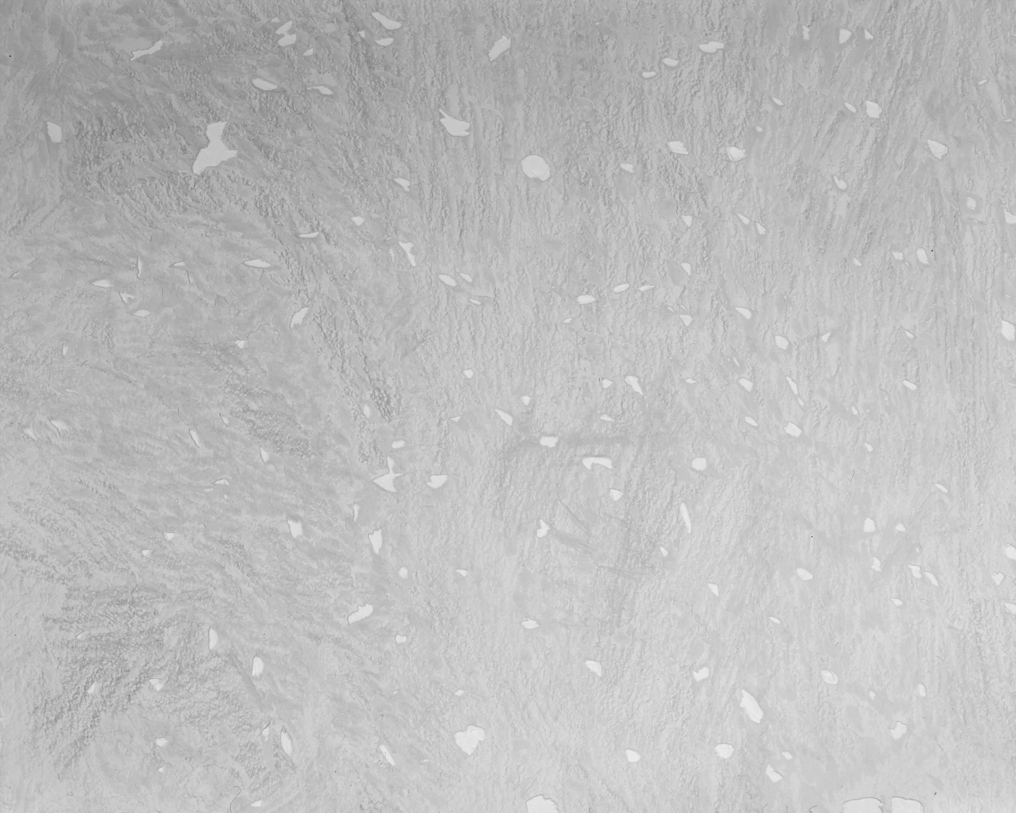 AD08428_02