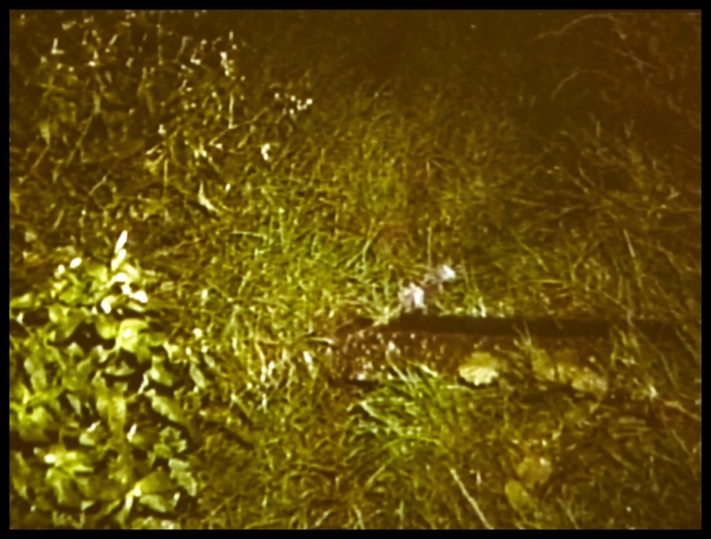 DO01997_002