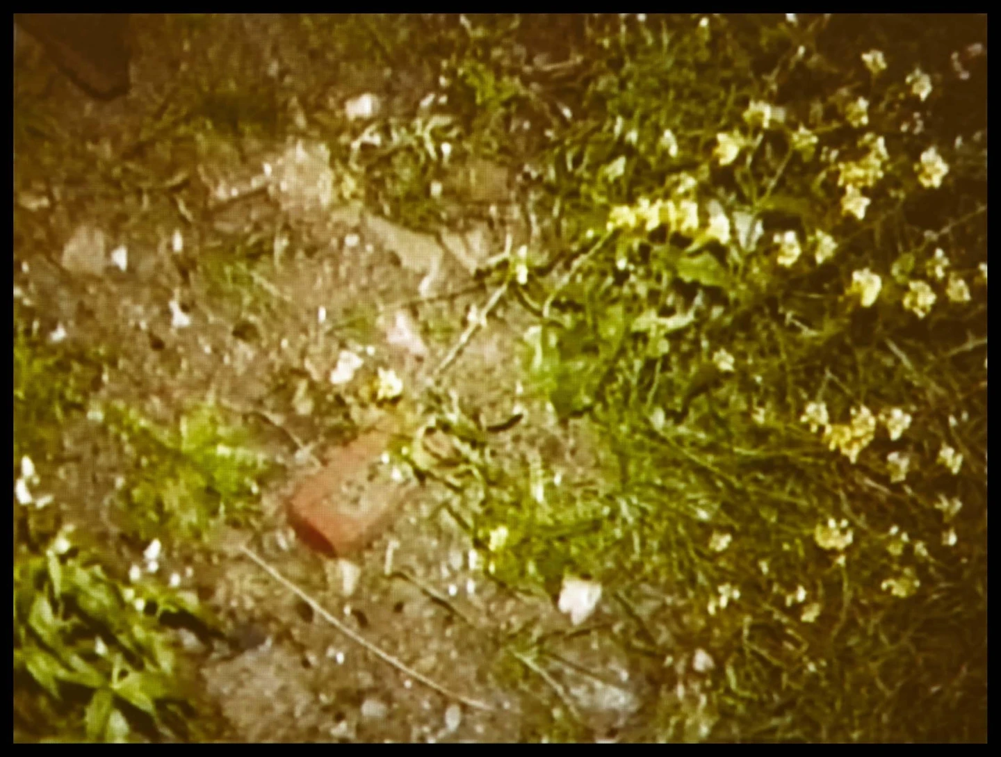 DO01997_003