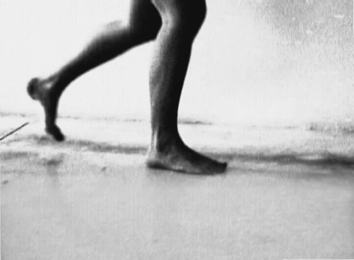 vlcsnap-2018-06-25-16h16m47s133