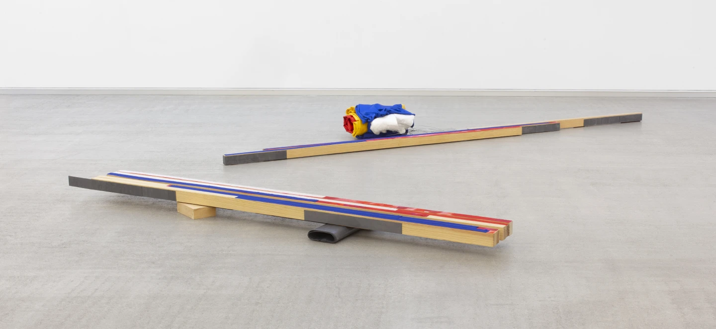 Ángel Bados, Si el mar pudiera hacerse jardines (2024), Materiales diversos (14,5 x 290 x 57 cm y 30 x 398 x 80 cm) © Ángel Bados. Museo Reina Sofía