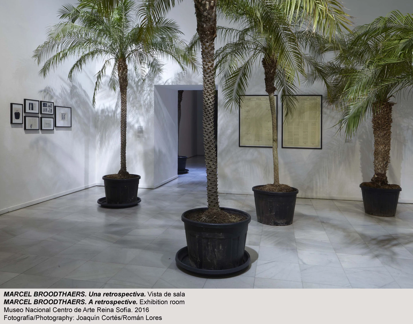  Vista de sala de la exposición Marcel Broodthaers. Una retrospectiva