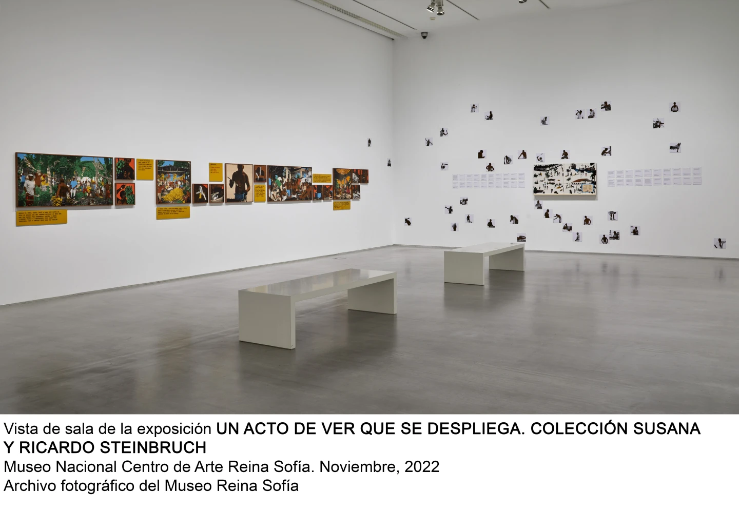 Un acto de ver que se despliega. Colección Susana y Ricardo Steinbruch