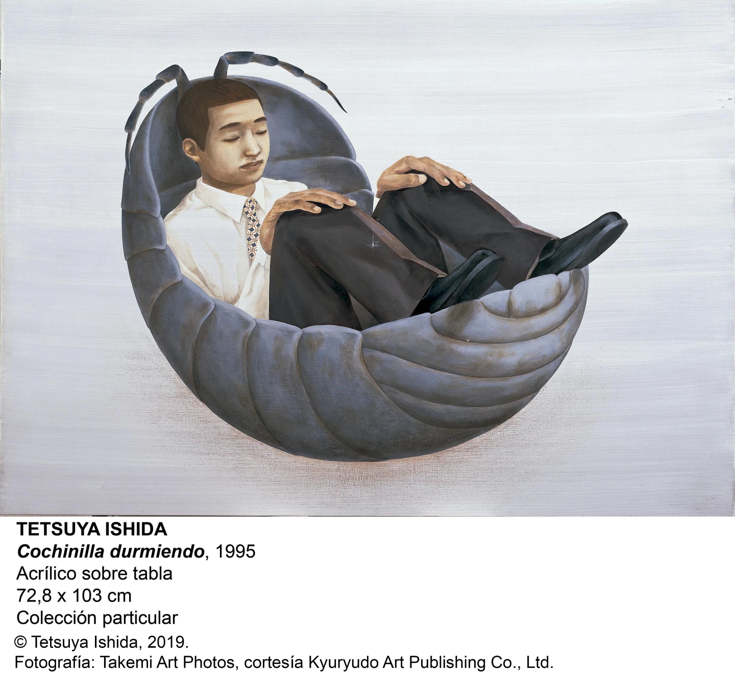 Tetsuya Ishida. Cochinilla durmiendo, 1995