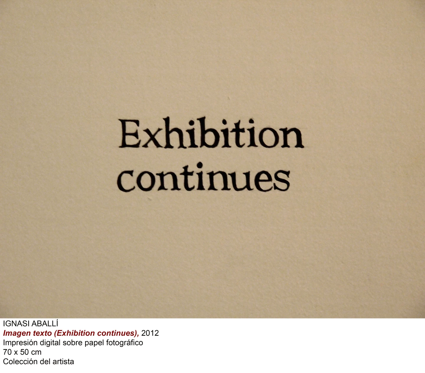 Ignasi Aballí Imagen texto, 2012