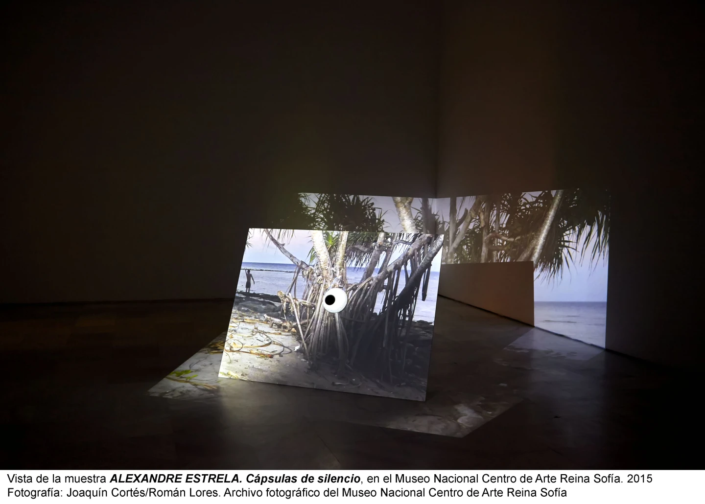 Alexandre Estrela. Cápsulas de Silencio . 2015