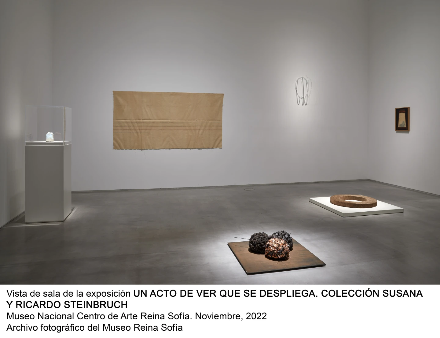 Un acto de ver que se despliega. Colección Susana y Ricardo Steinbruch