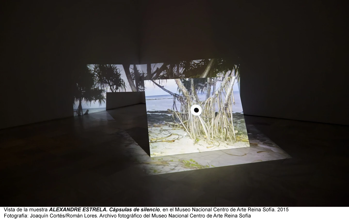 Alexandre Estrela. Cápsulas de Silencio. 2015