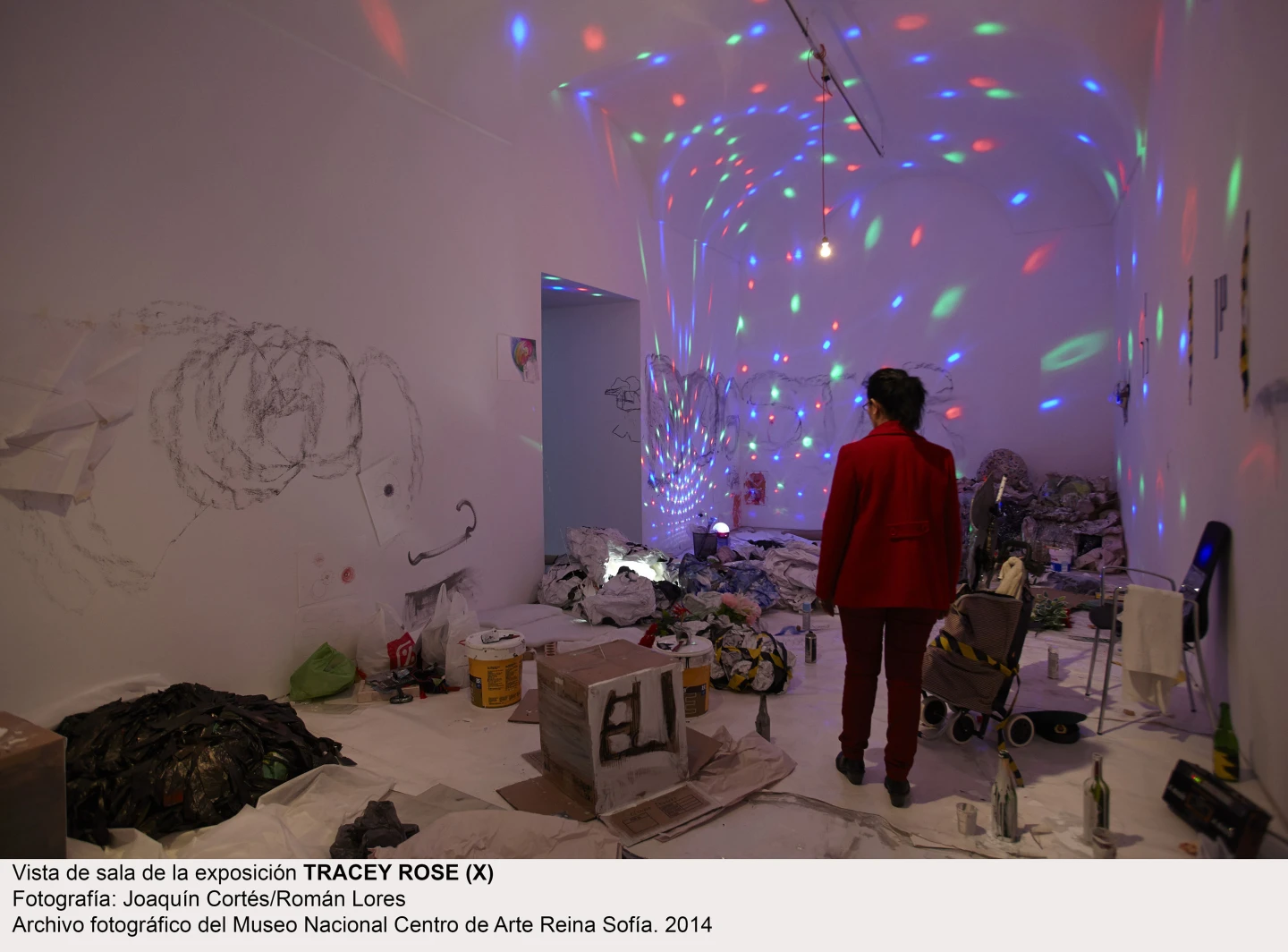 Tracey Rose (x). Vista de sala / gallery view (imagen 2)