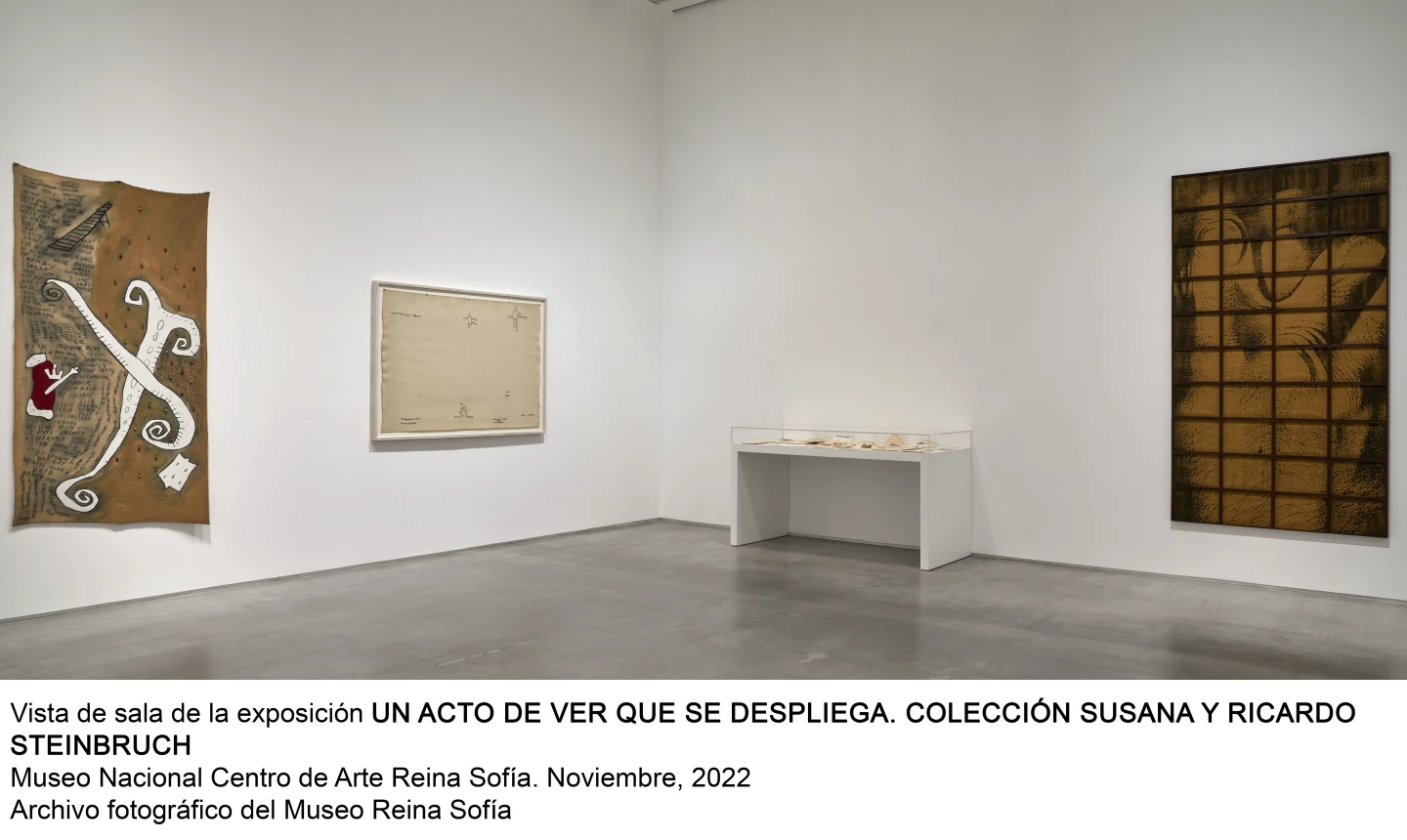 Un acto de ver que se despliega. Colección Susana y Ricardo Steinbruch