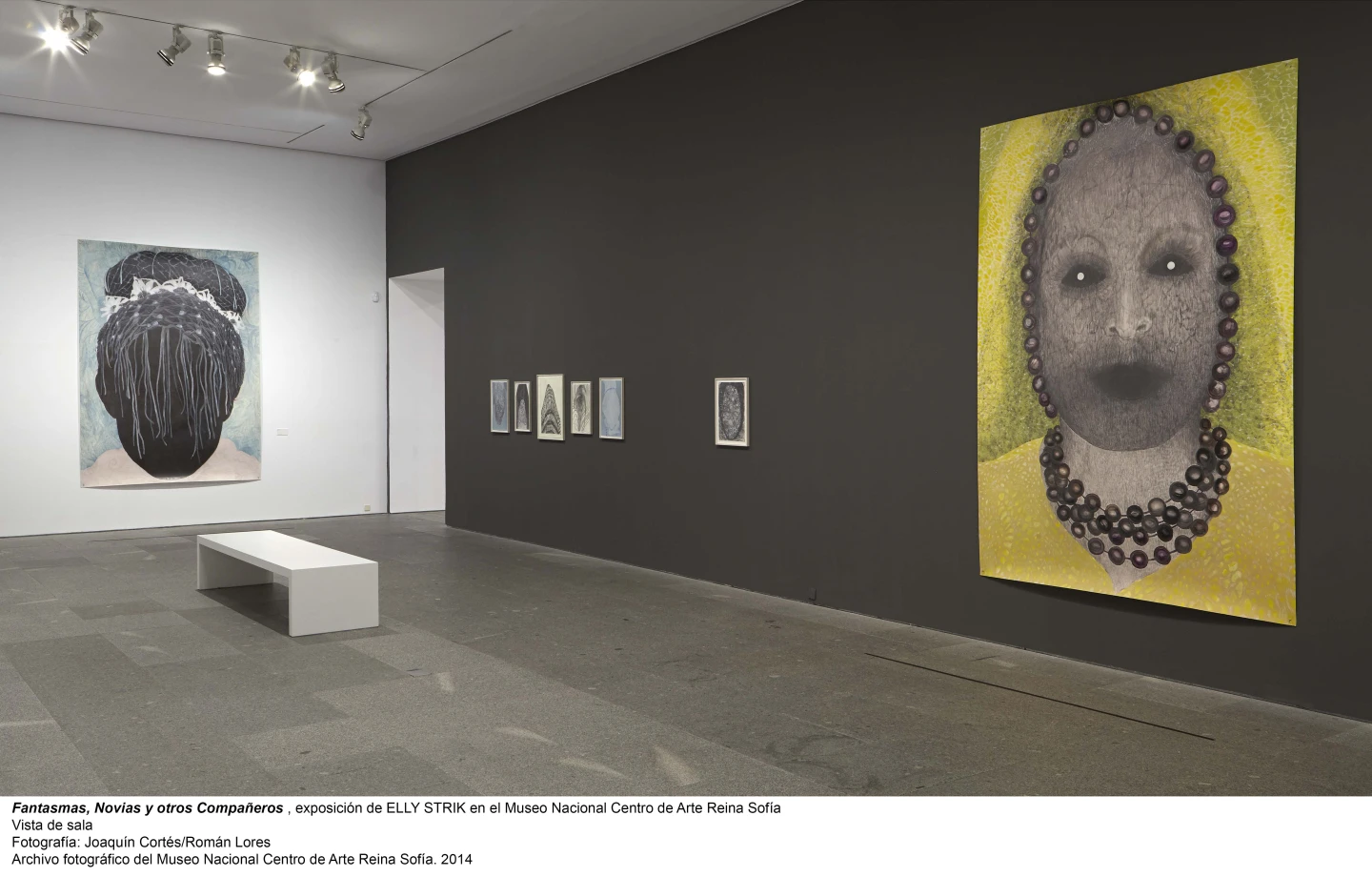 Elly Strik. Fantasmas, novias y otros compañeros, vista de sala / gallery view (imagen 2)