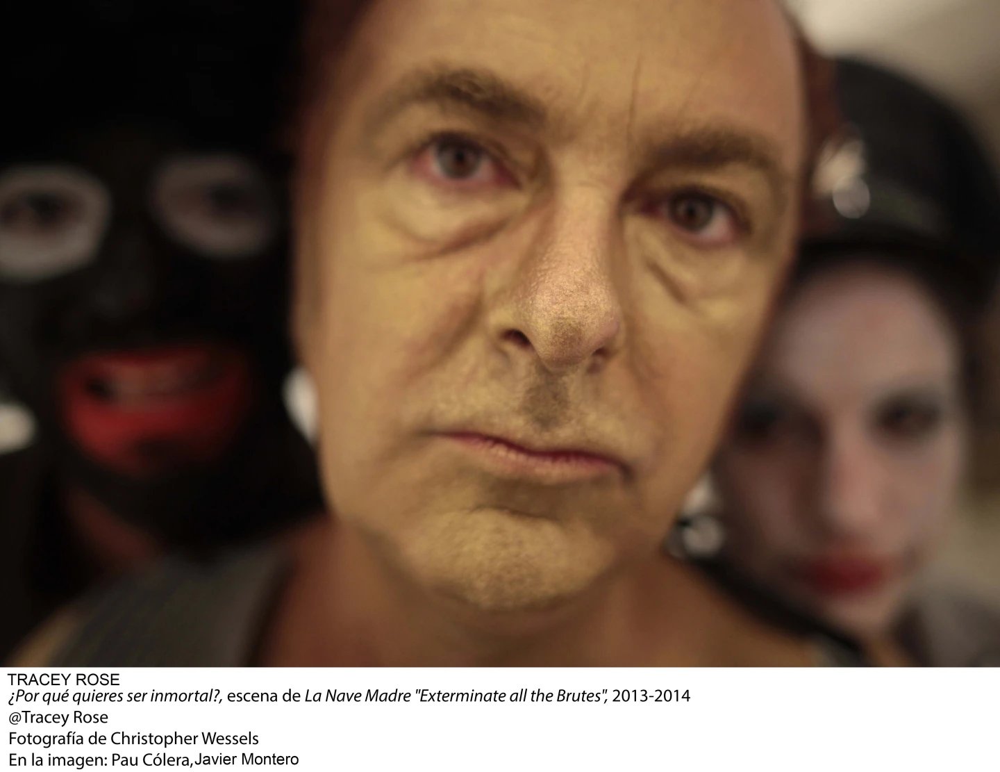 Tracey Rose, La Nave Madre “Exterminate All the Brutes”, 2013-2014 (36869)