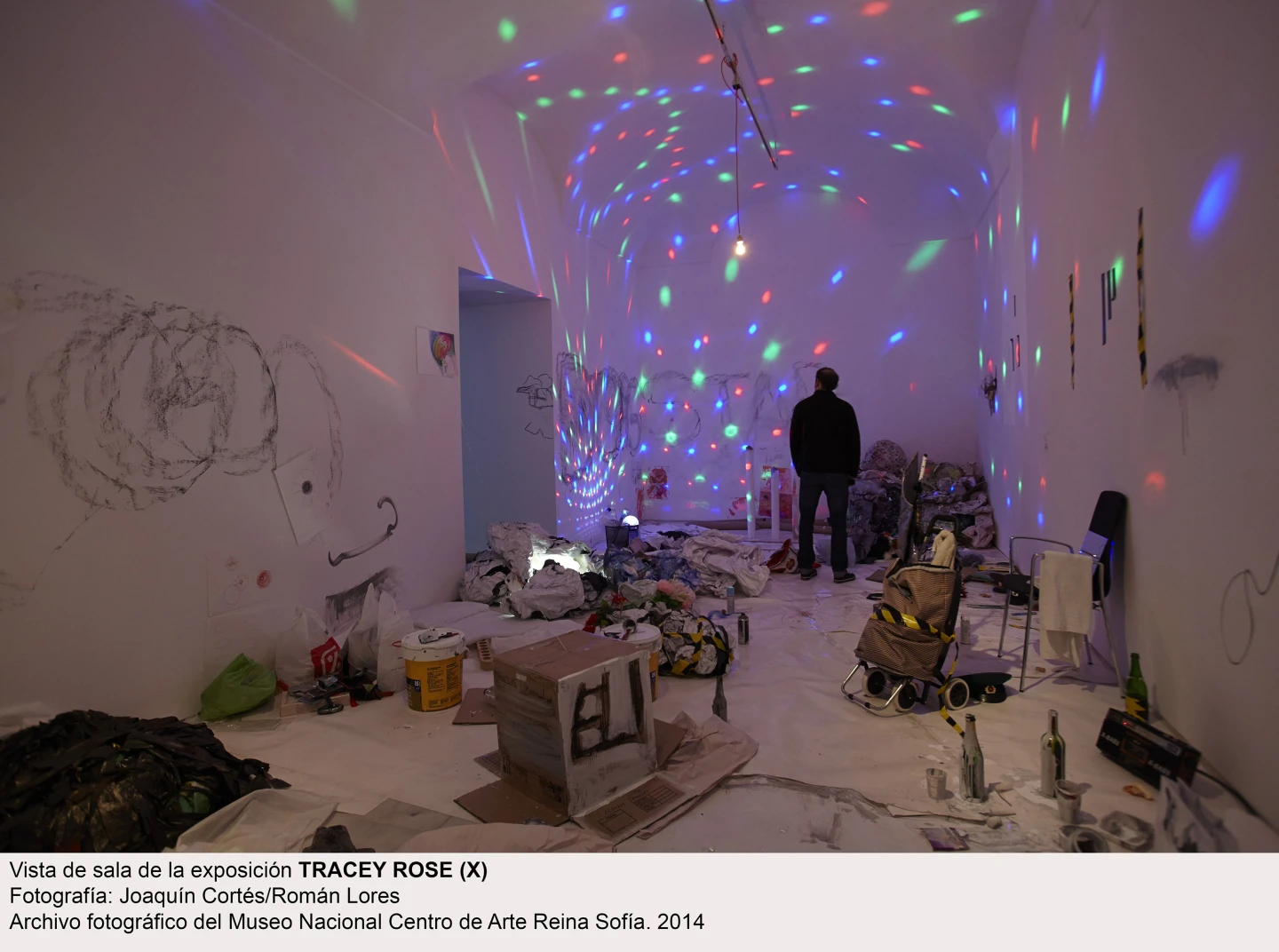 Tracey Rose (x). Vista de sala / gallery view (imagen 3)