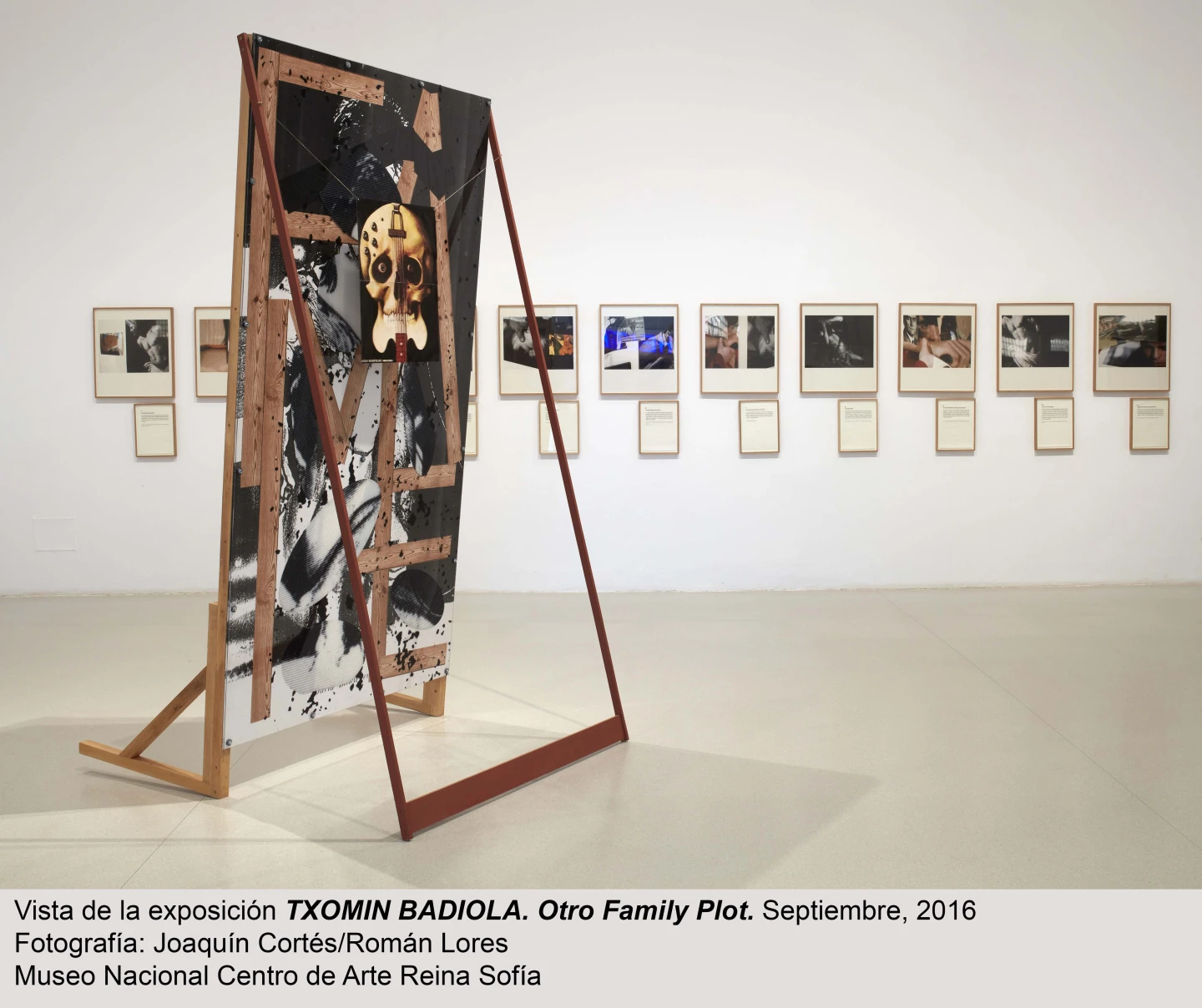 Vista de sala de la exposición Otro Family Plot, de Txomin Badiola.
