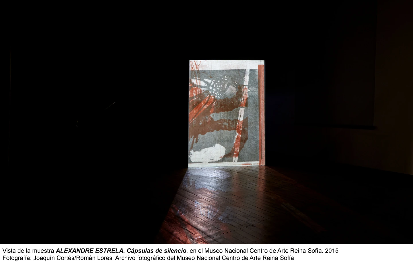 Alexandre Estrela. Cápsulas de Silencio. 2015