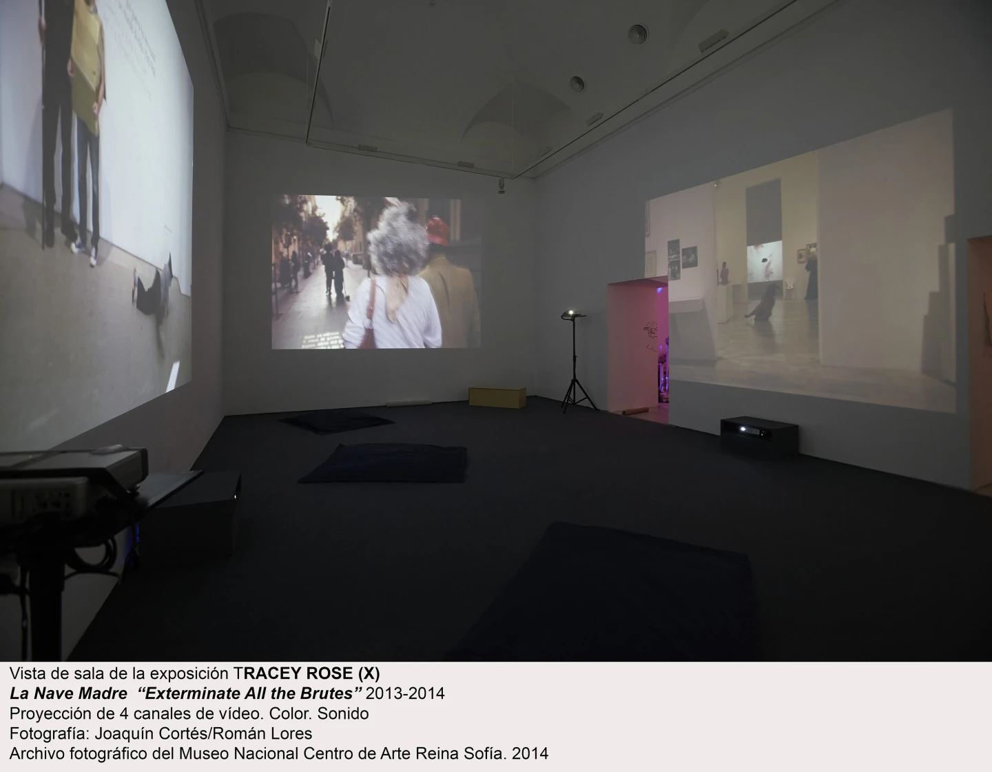 Tracey Rose, La Nave Madre “Exterminate All the Brutes”, 2013-2014. Vista de sala / gallery view (imagen 1)