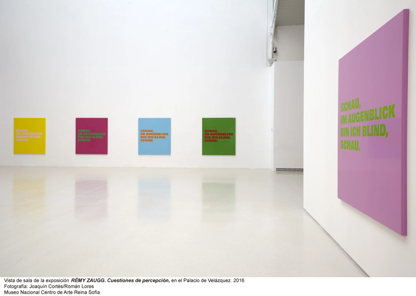 Rémy Zaugg.Cuestiones de percepción