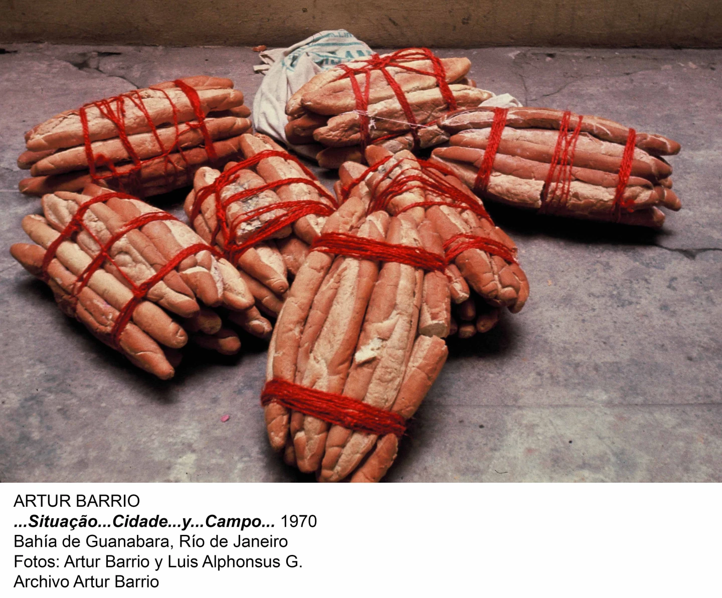 Artur Barrio. Experiencias y situaciones