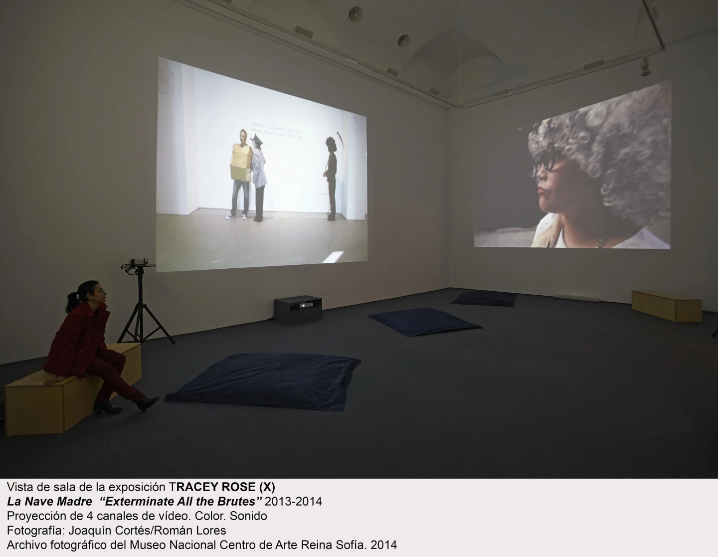 Tracey Rose, La Nave Madre “Exterminate All the Brutes”, 2013-2014. Vista de sala / gallery view (imagen 2)