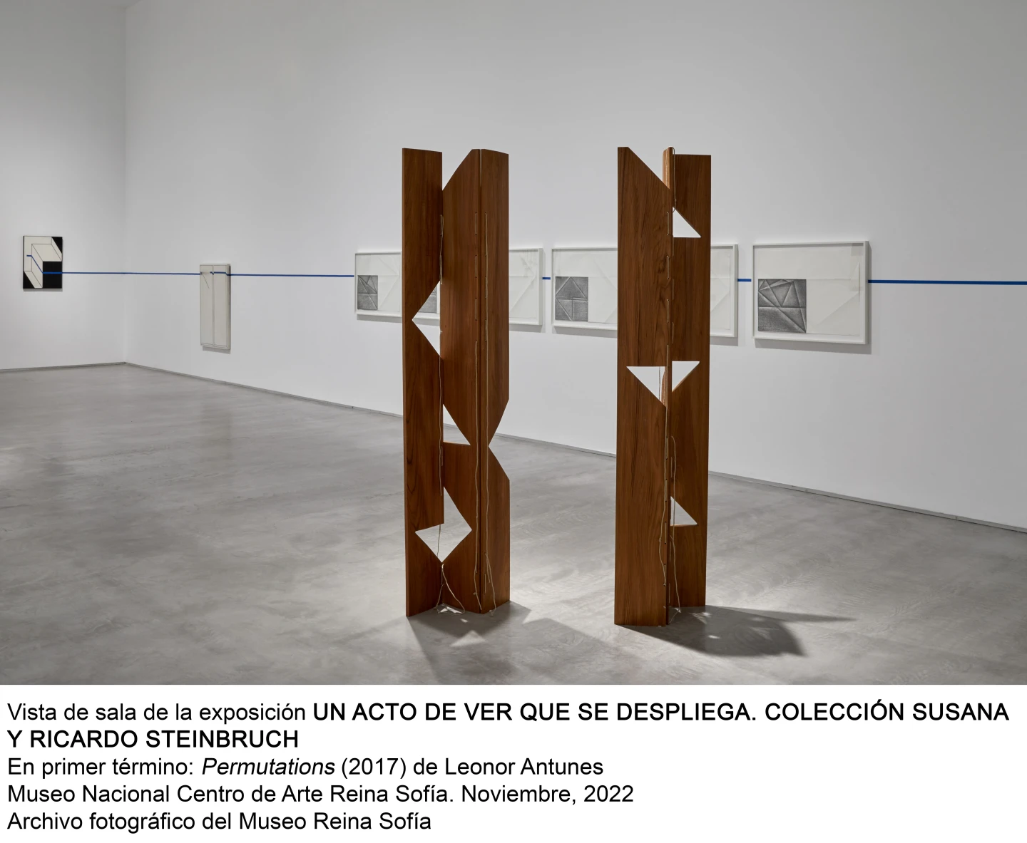 Un acto de ver que se despliega. Colección Susana y Ricardo Steinbruch
