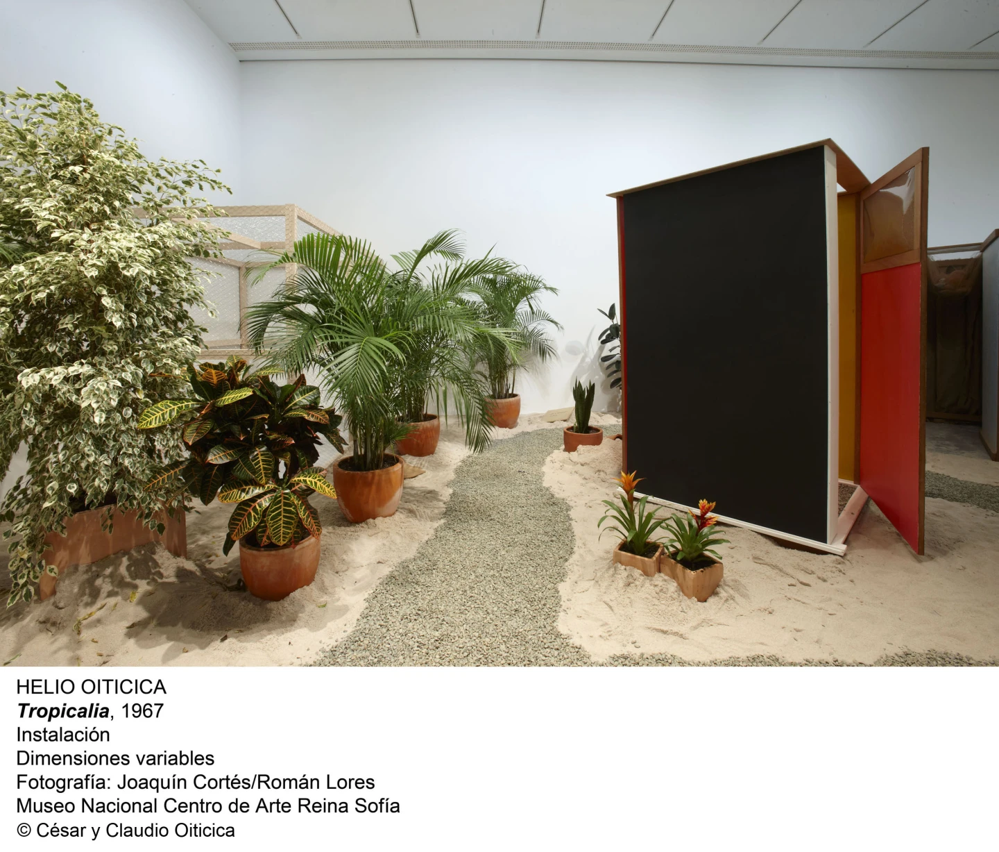 Hèlio Oiticica. Tropicalia, 1967