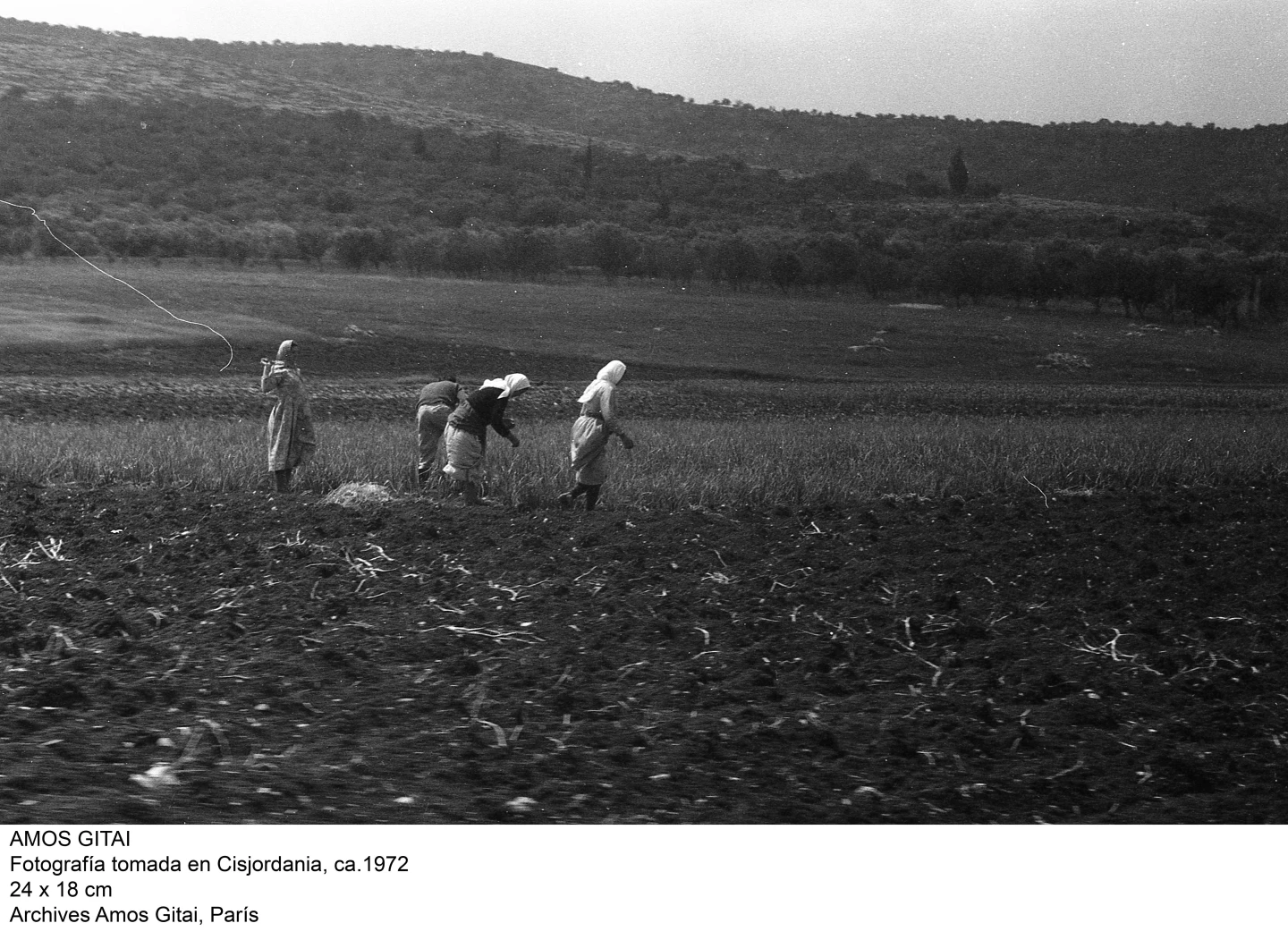Amos Gitai. Fotografía tomada en Cisjordania, ca. 1972
