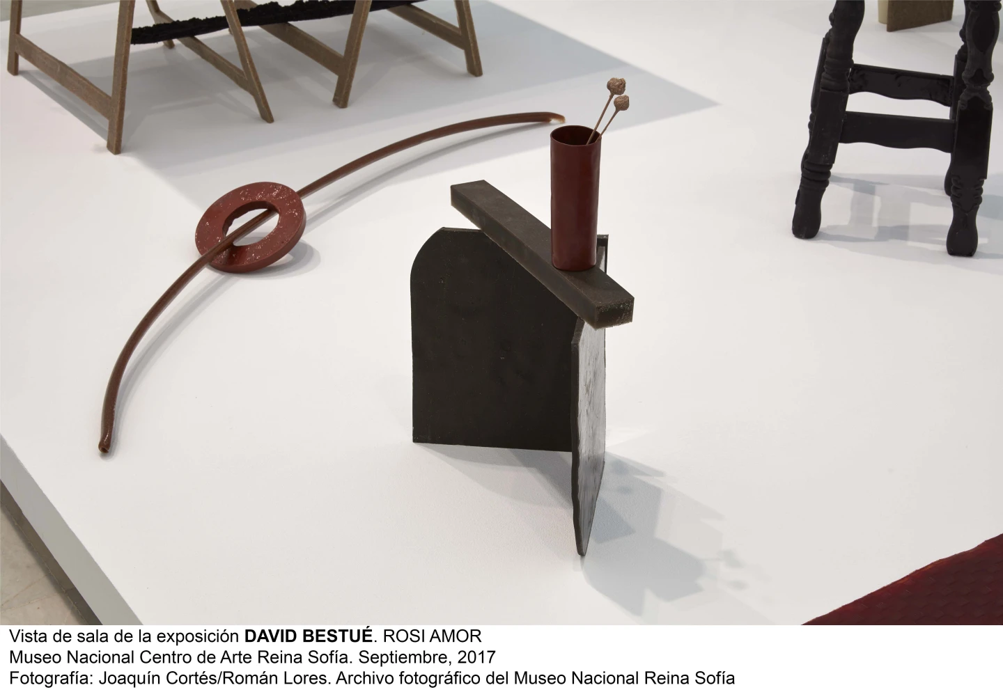  David Bestué. ROSI AMOR