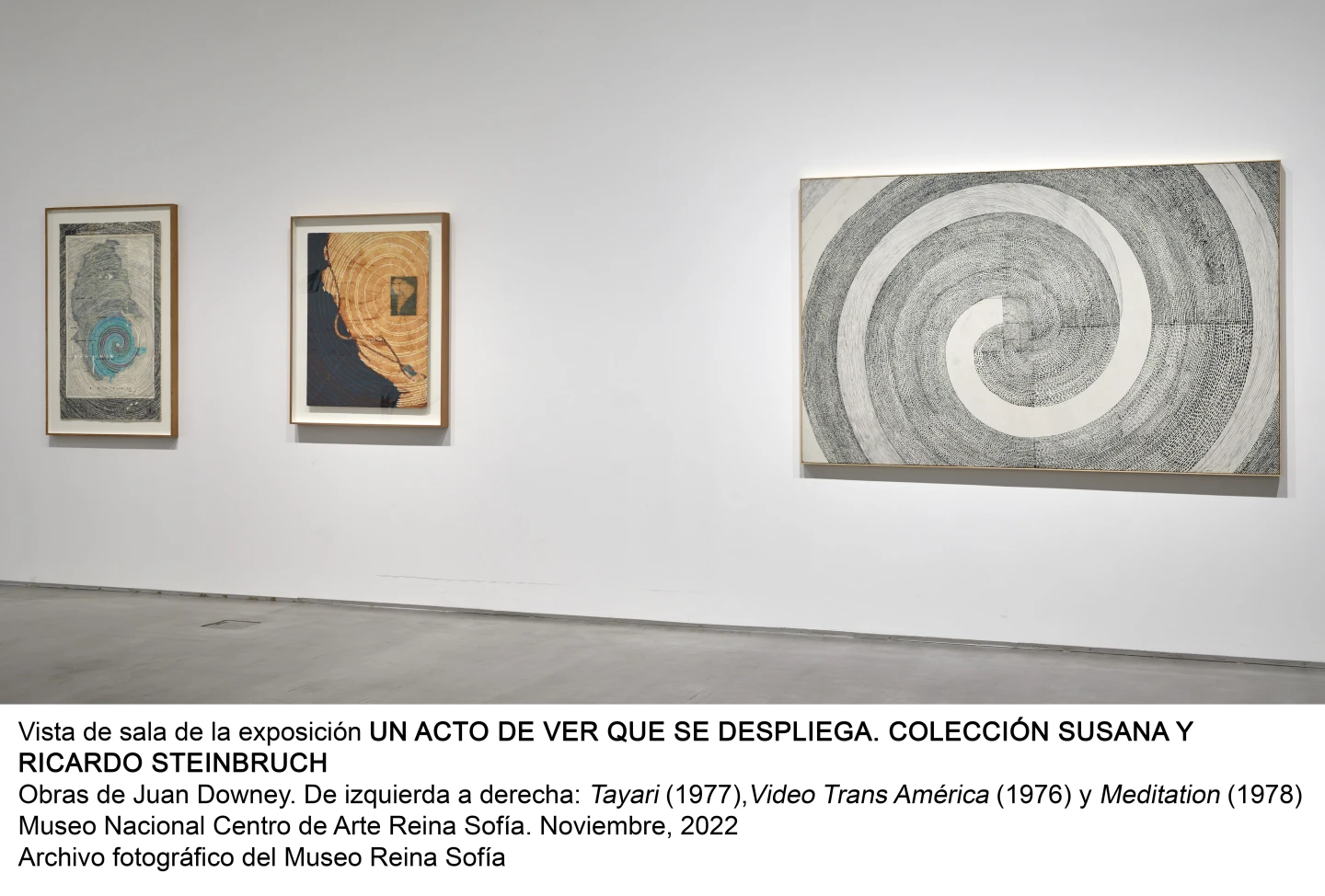 Un acto de ver que se despliega. Colección Susana y Ricardo Steinbruch