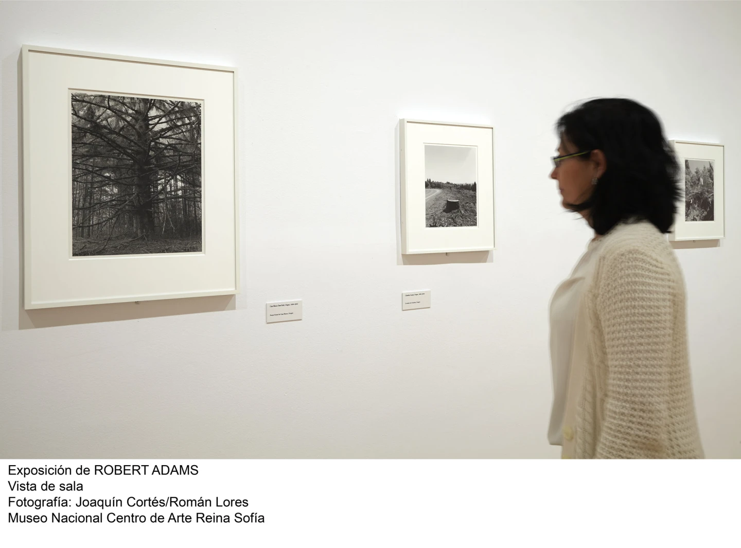 Robert Adams: El lugar donde vivimos. Una selección retrospectiva de fotografías