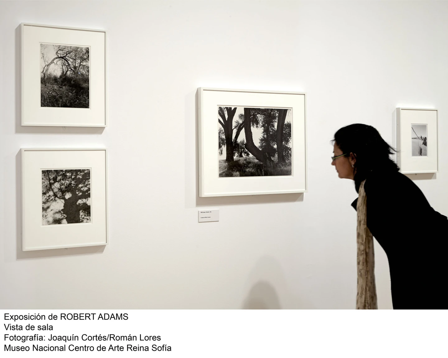 Robert Adams: El lugar donde vivimos. Una selección retrospectiva de fotografías