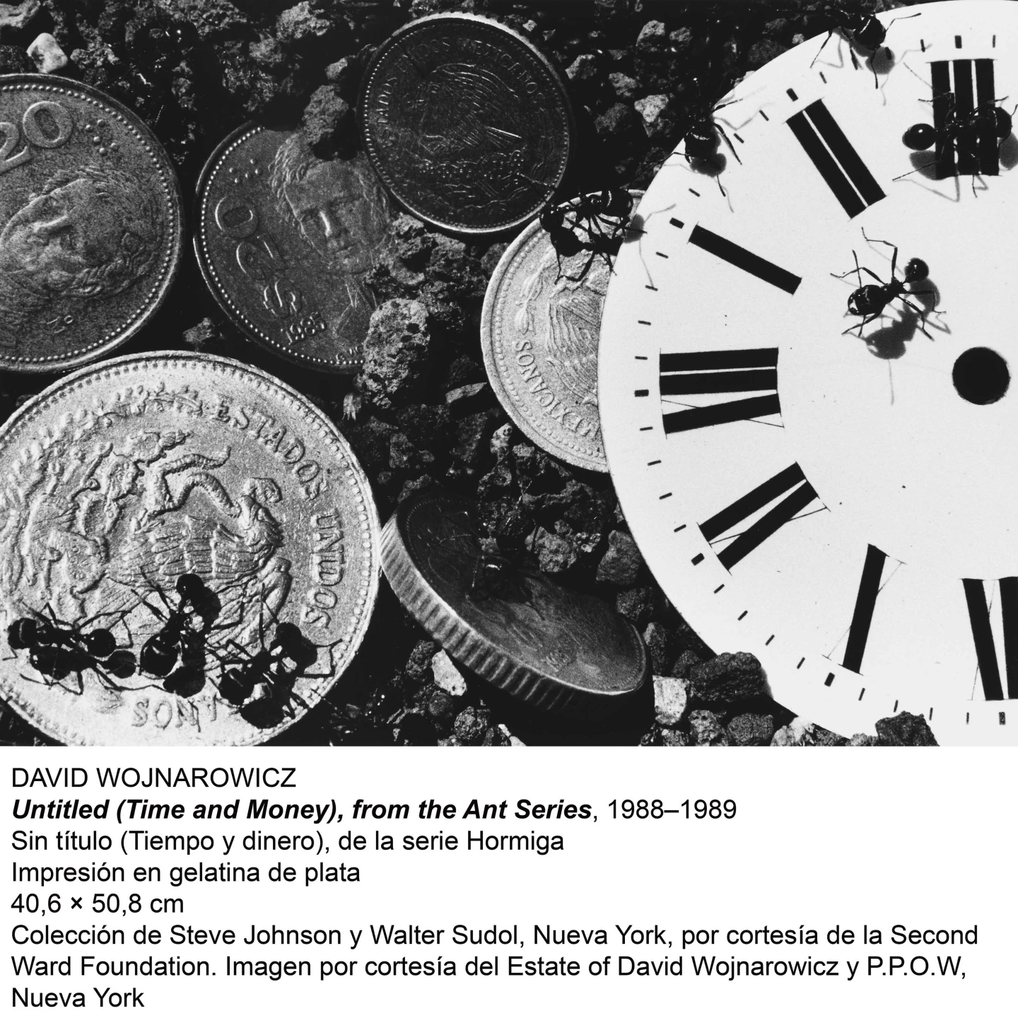 David Wojnarowicz. La historia me quita el sueño