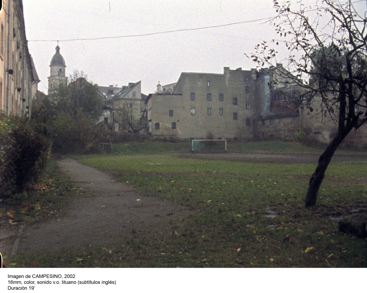 Deimantas Narkevičius. La vida unánime