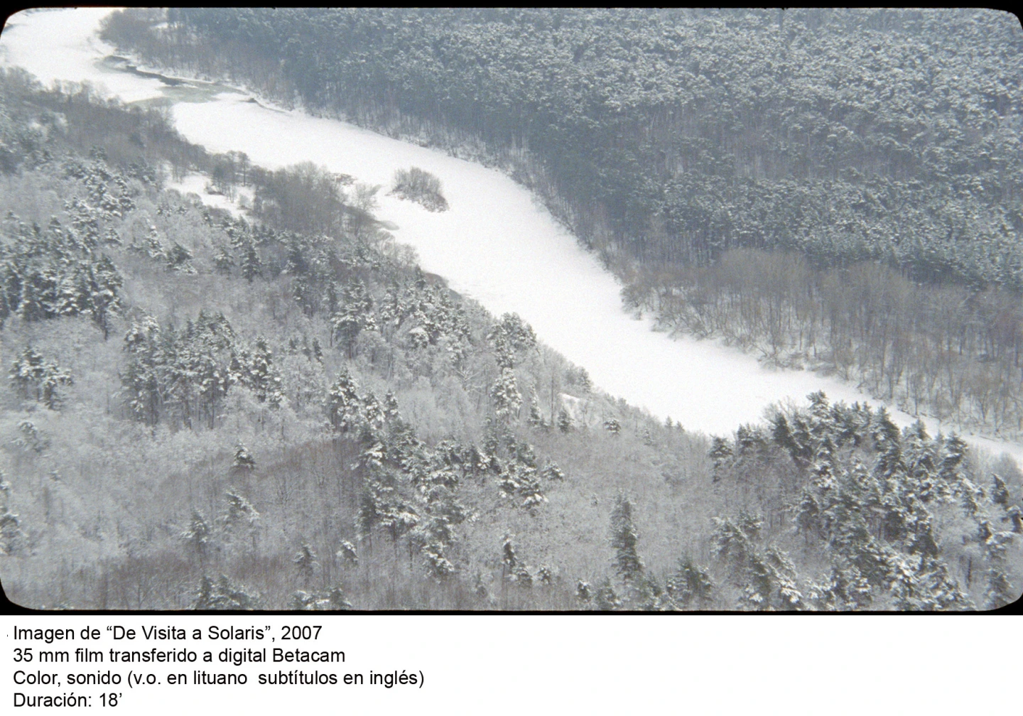 Deimantas Narkevičius. La vida unánime(imagen 02)