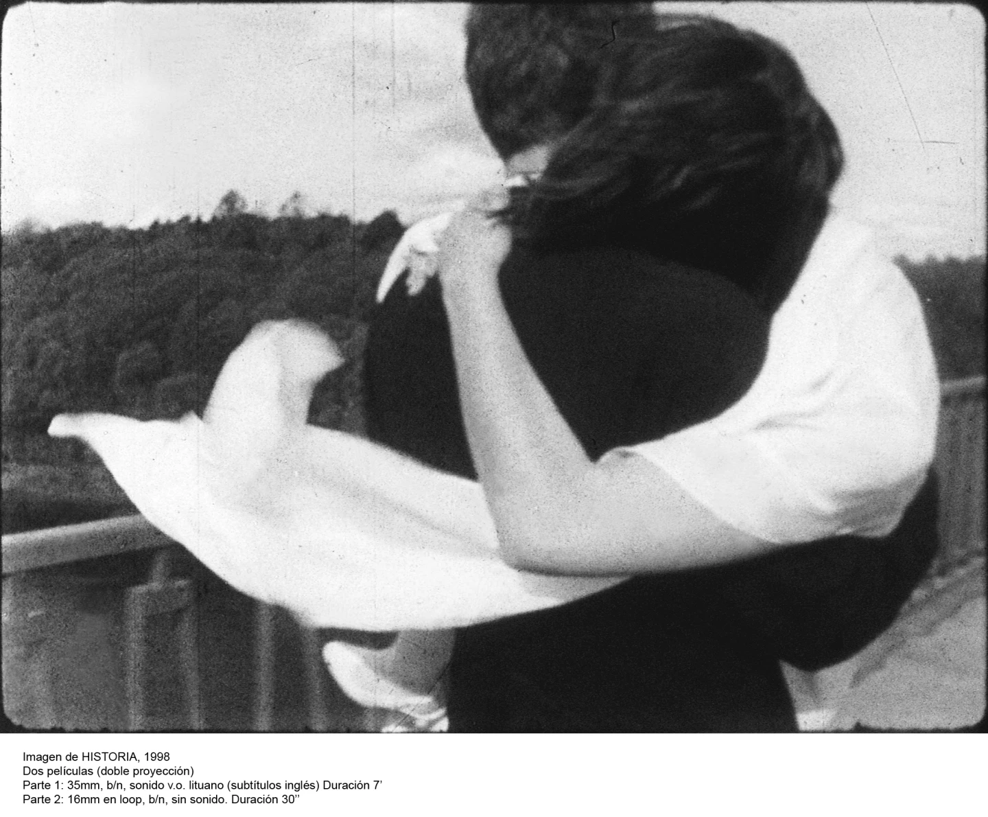 Deimantas Narkevičius. La vida unánime(imagen 08)