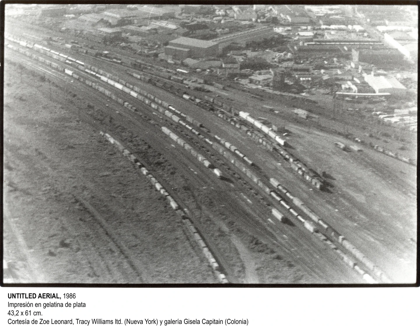 Zoe Leonard. Fotografías